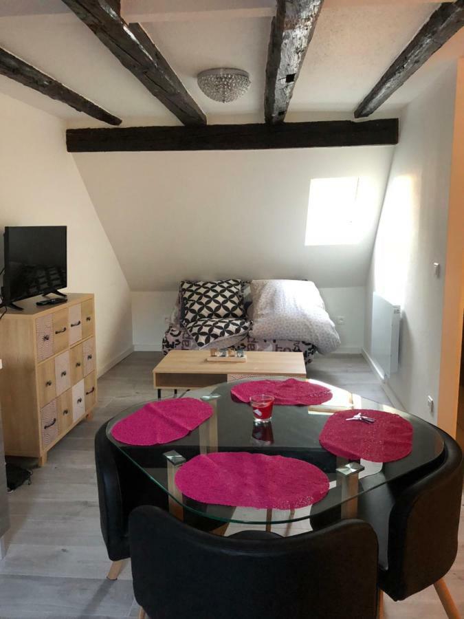 Duplex Hyper Centre Colmar Apartment Ngoại thất bức ảnh